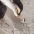 Cigarette butts are the #1 item picked up at our beach cleanups